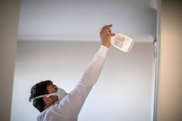 Best Home Mold Removal  in Mackinac Island, MI